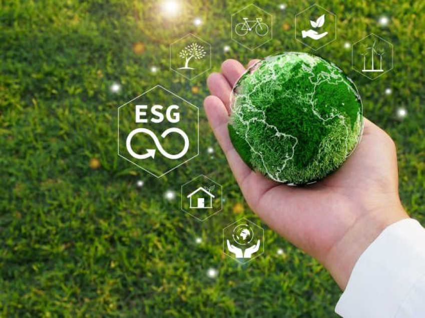 Empreendedorismo e a política ESG